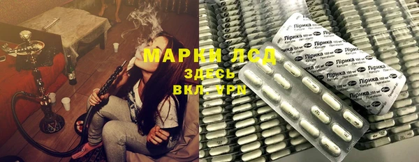 прущие грибы Алзамай