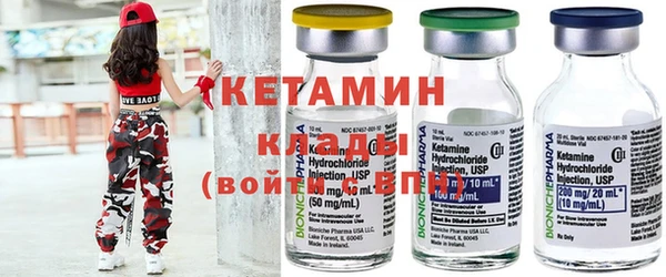 прущие грибы Алзамай