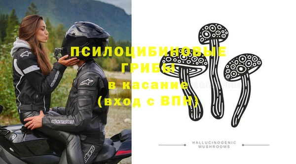 прущие грибы Алзамай