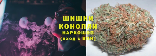 прущие грибы Алзамай