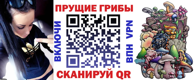 МЕГА зеркало  Уяр  Псилоцибиновые грибы Psilocybine cubensis 